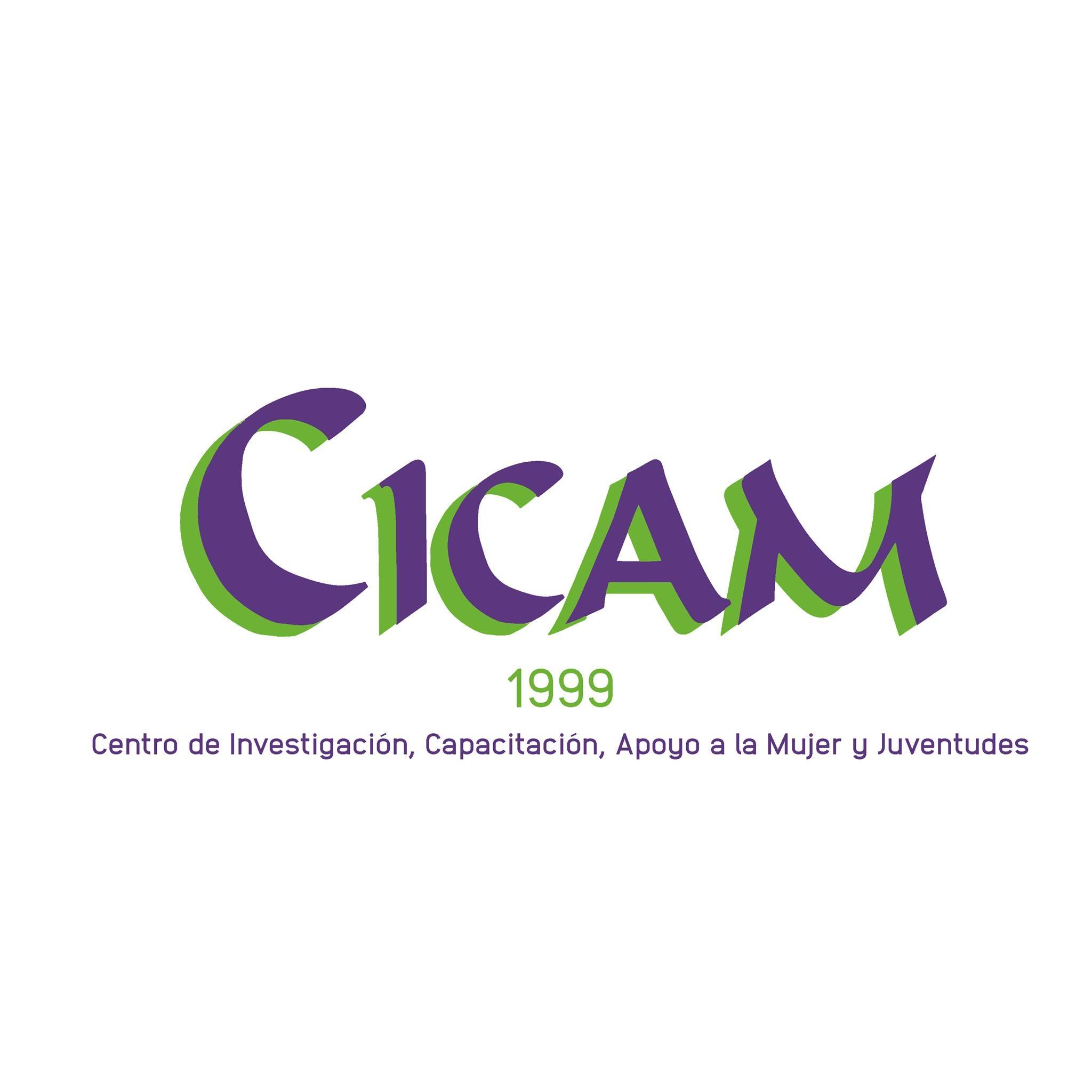 Centro de Investigación, Capacitación y Apoyo a la Mujer CICAM avatar image